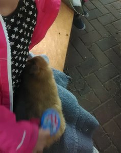 IMG_20180225_140200.jpg