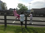 IMG_20180528_120044.jpg