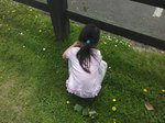 IMG_20180528_120107.jpg