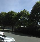 IMG_20180624_151933~2.jpg