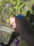 IMG_20180624_152313.jpg
