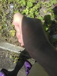 IMG_20180624_152316.jpg