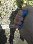 IMG_20180624_152531.jpg