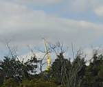 IMG_20180905_162840~2.jpg