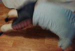 IMG_20180918_180745_1~3.jpg