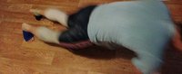 IMG_20180918_180746~2.jpg