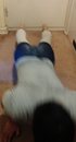 IMG_20180919_180449~2.jpg