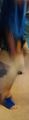 IMG_20180920_174822_1~2.jpg