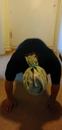IMG_20180930_160537~2.jpg