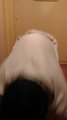 IMG_20190226_184801_1~2.jpg