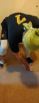 IMG_20190630_171245~2.jpg