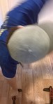 WP_20190819_008.jpg