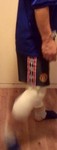 WP_20190908_008.jpg